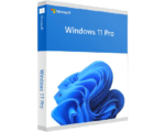 Windows 11 pro visionforsoft