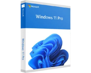 Windows 11 pro visionforsoft