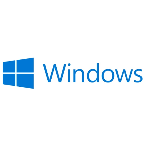 windows 10/11 pro-visionforsoft
