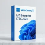 Windows 11 IOT Enterprise LTSC 2024 Lifetime validity